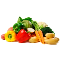 Product Export